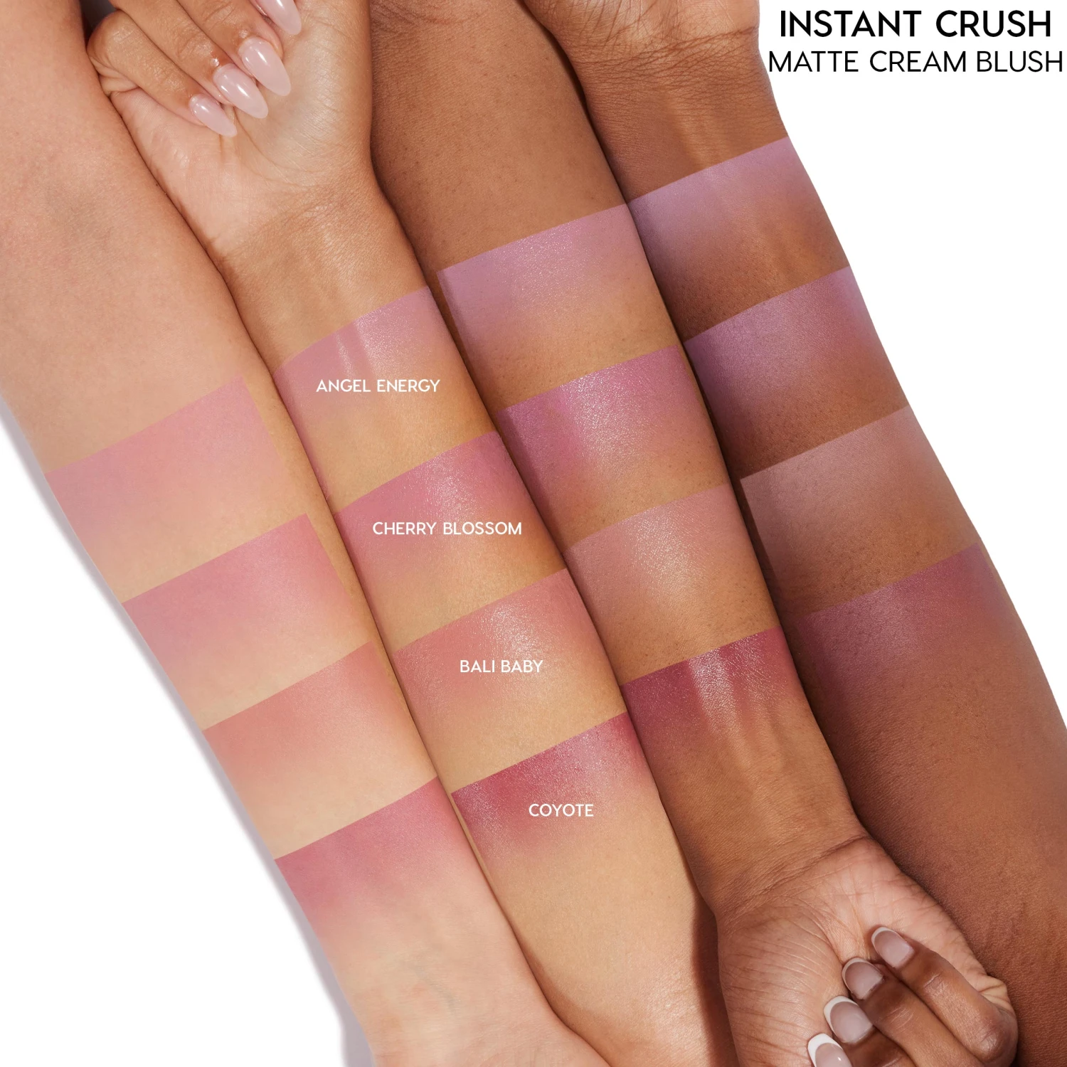 Coyote 4 Coyote - Image 2