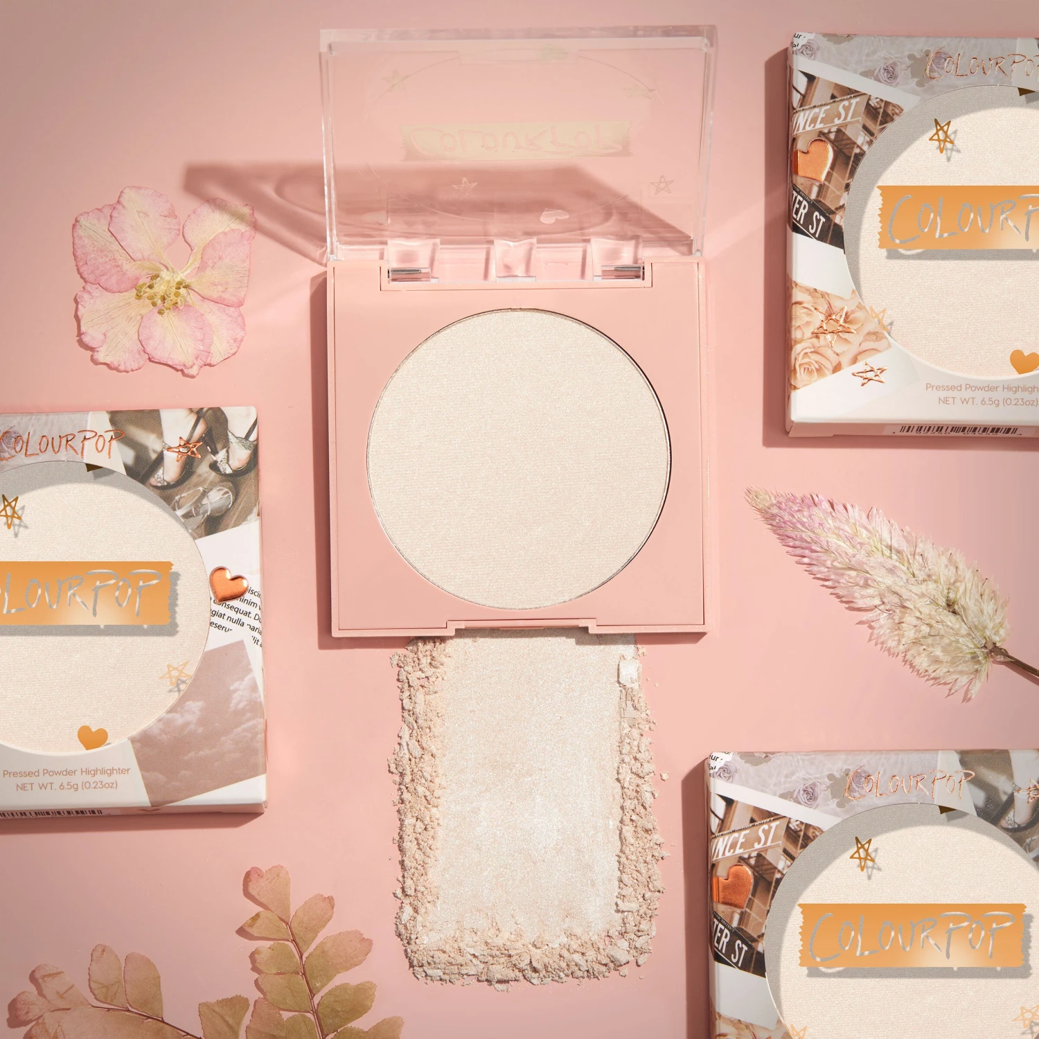 Vanilla Bean 3 Vanilla Bean